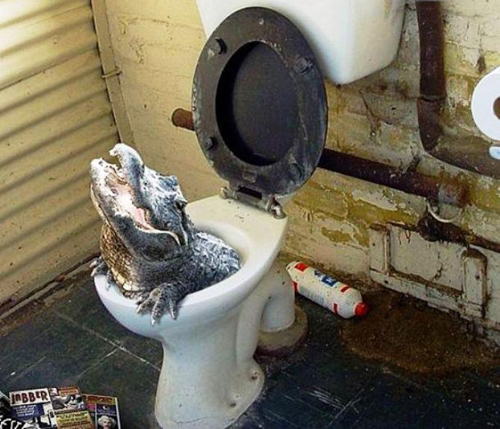 krokodil-2